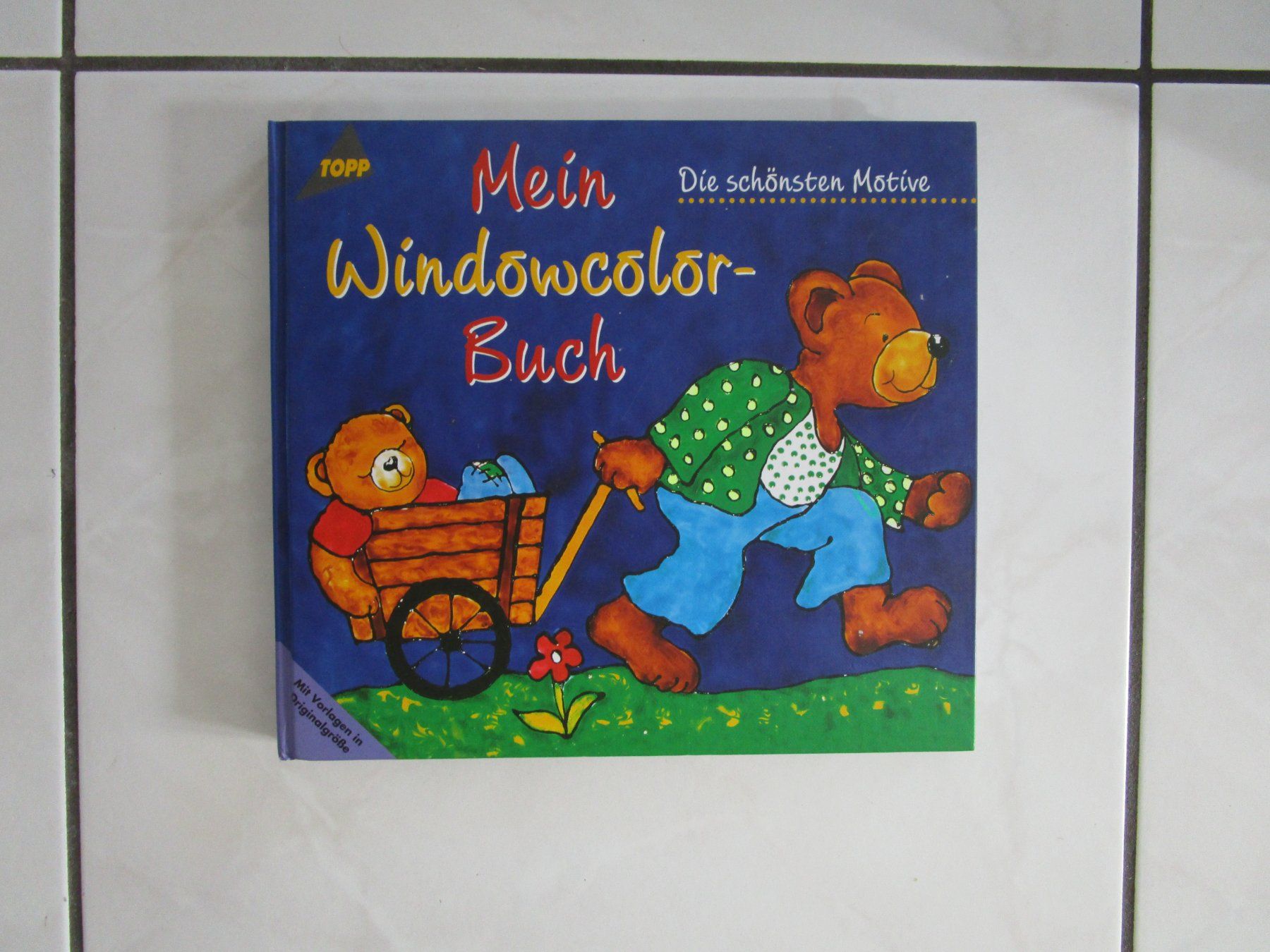 Bücher: Mein Window-Color Buch – Gebraucht aus Volketswil von Megaissimo