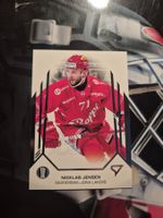 Nicklas Jensen Rapperswil Jona Lakers Playoffs 2025 Sportzoo