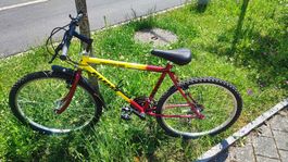 Velo/Fahrrad Mountainbike 