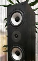Dual LS 80 Standlautsprecher 