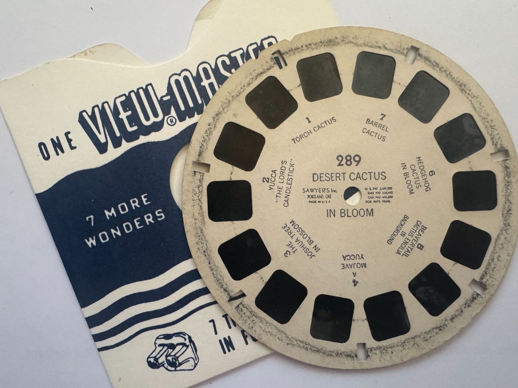 View-master Giocattoli: View-Master 3D: Nr. 289 DESERT CACTUS IN BLOOM – Usato da Tegerfelden venduto da siebenmacky 2