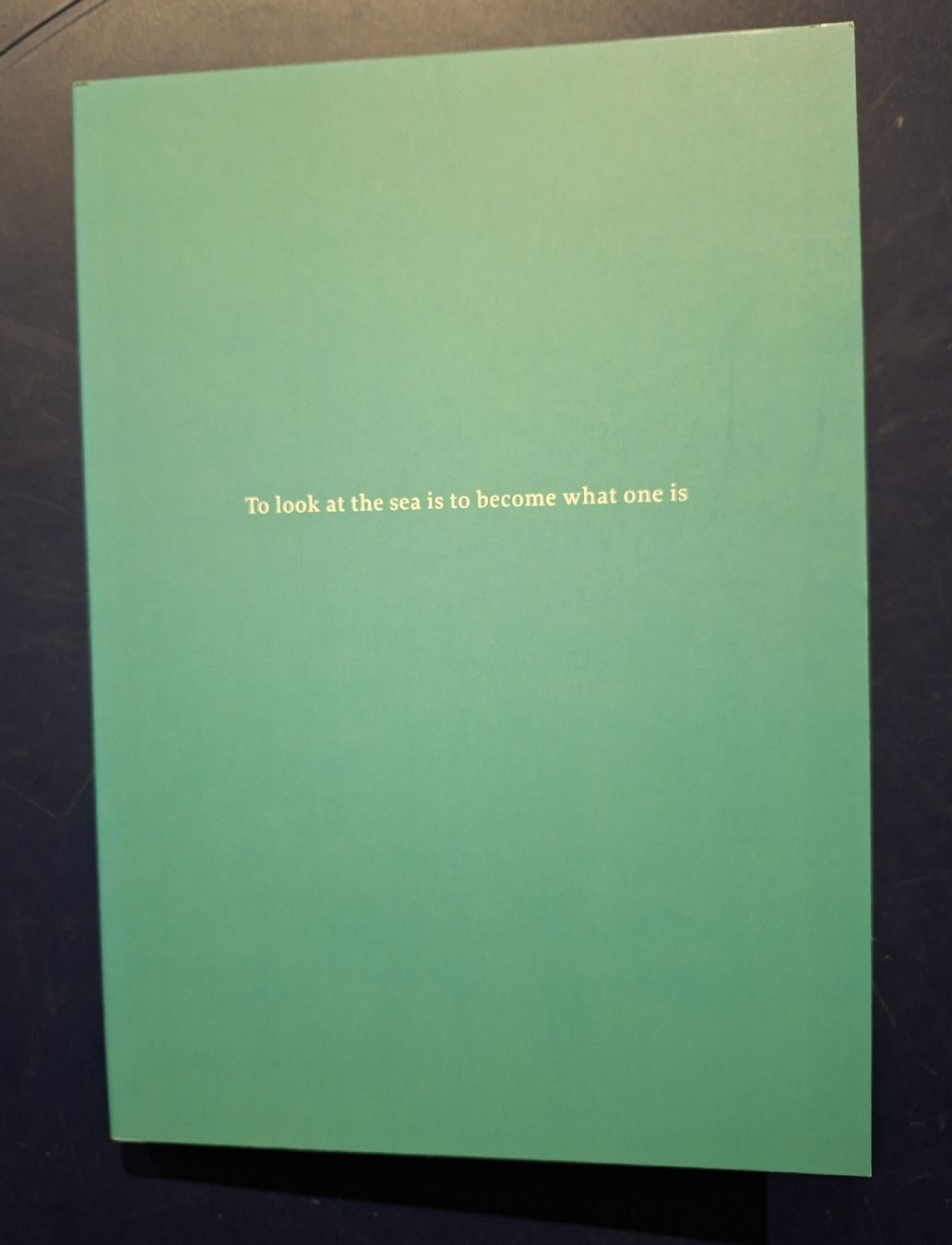 Livres: Etel Adnan Reader, Volume II, Nightboat Books – Neuf (Voir description) à Niederglatt ZH par Siegfried67