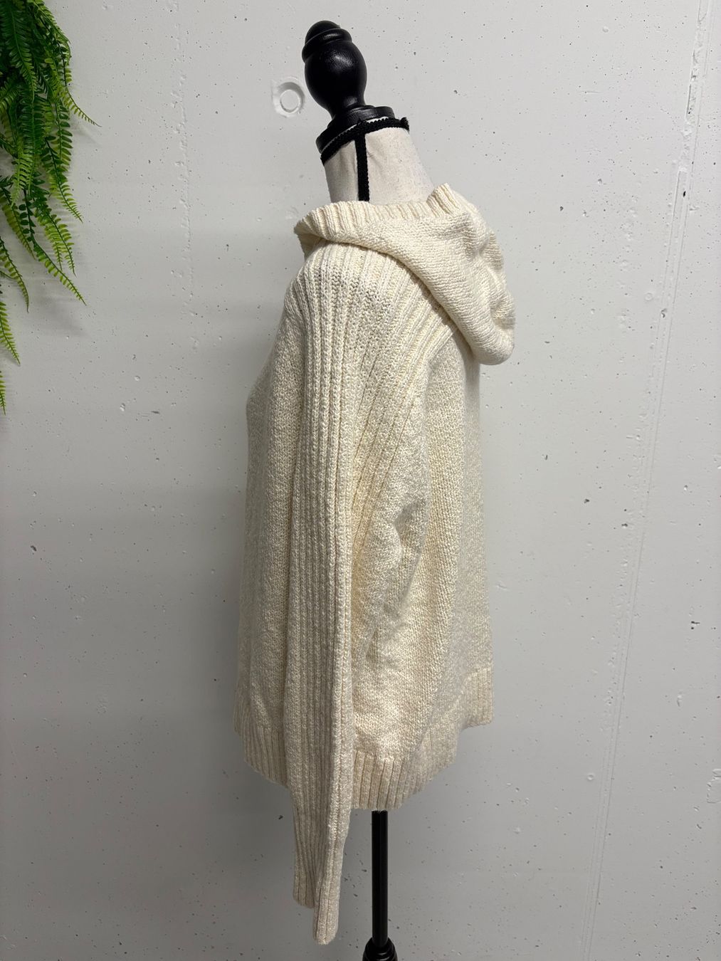 Brax Maglioni & Felpe: Brax Strickpullover Kapuze beige Gr. 38 neu Baumwolle – Nuovo (secondo la descrizione) da Regensdorf venduto da sec_l5cr 2