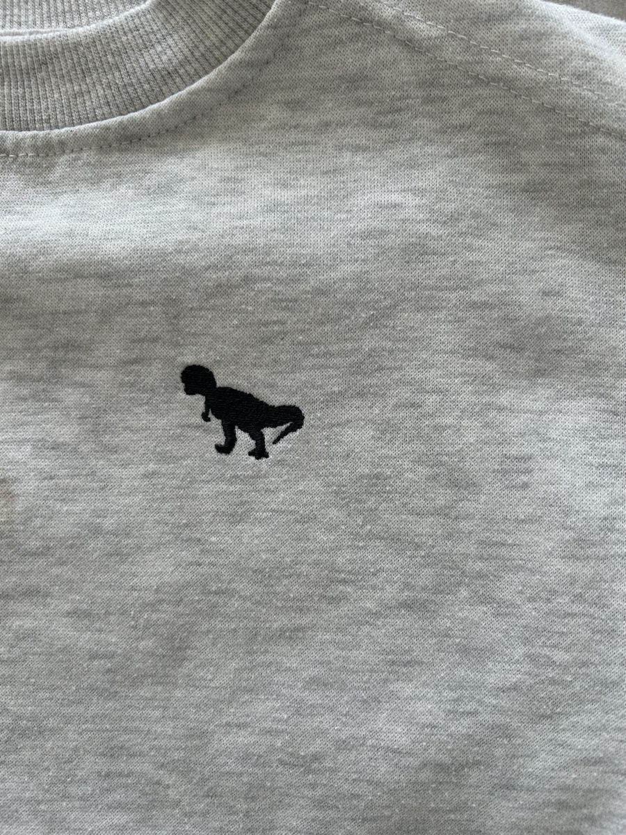 Primark Maglioni & Felpe: Pullover von Primark Grösse.98 in Top Zustand – Usato da Lengnau BE venduto da M.Laib 1