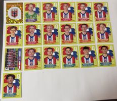 Panini WM 2026 - Norwegen Set 19 Stk inkl Wappen & Teambild