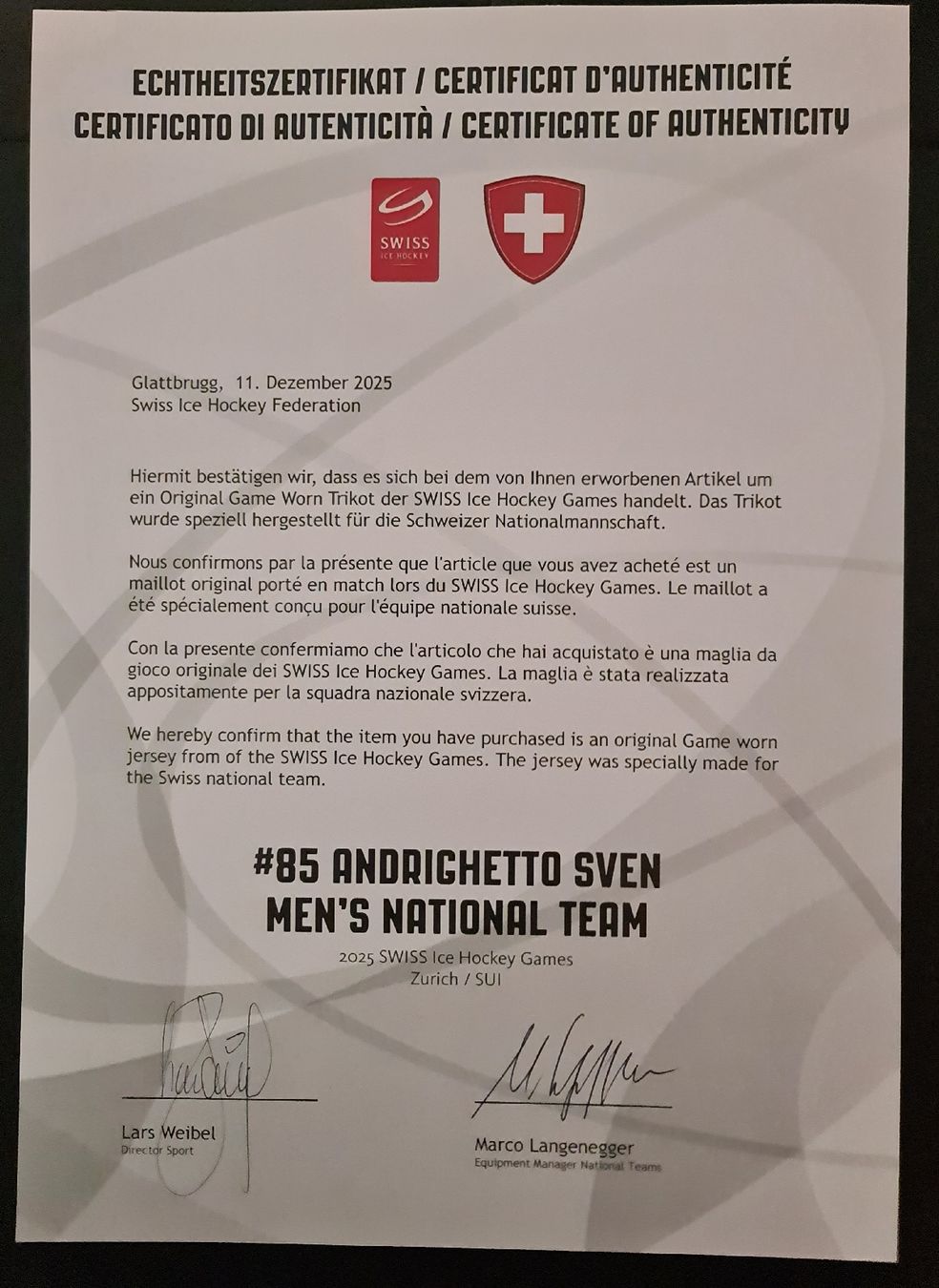 Schweizer Nati Canottiere & Pantaloni: Swiss Eishockey Trikot Andrighetto – Usato da Wilen b. Wollerau venduto da Sousi82 9