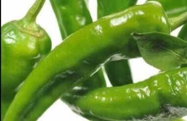 Pflanzen & Samen: 50 SAMEN Paprika FRIGITELLO Piment doux vert – Neu und originalverpackt aus Rovio von POSITIFFARTandPLANTS 1