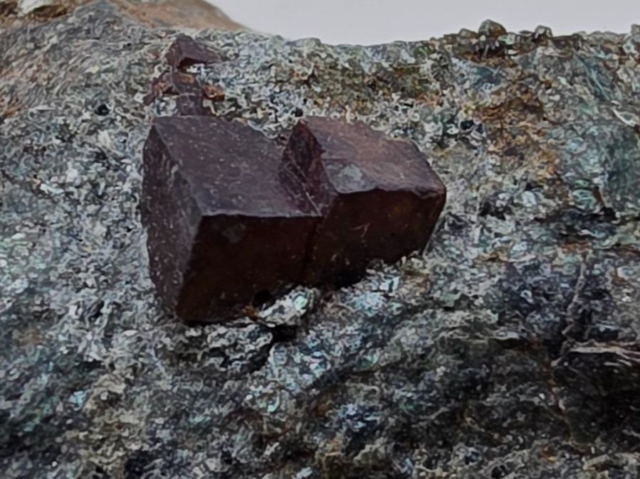 Mineralien & Heilsteine: Perovskite Rocca Sella Italy – Gebraucht aus Figino von minshop