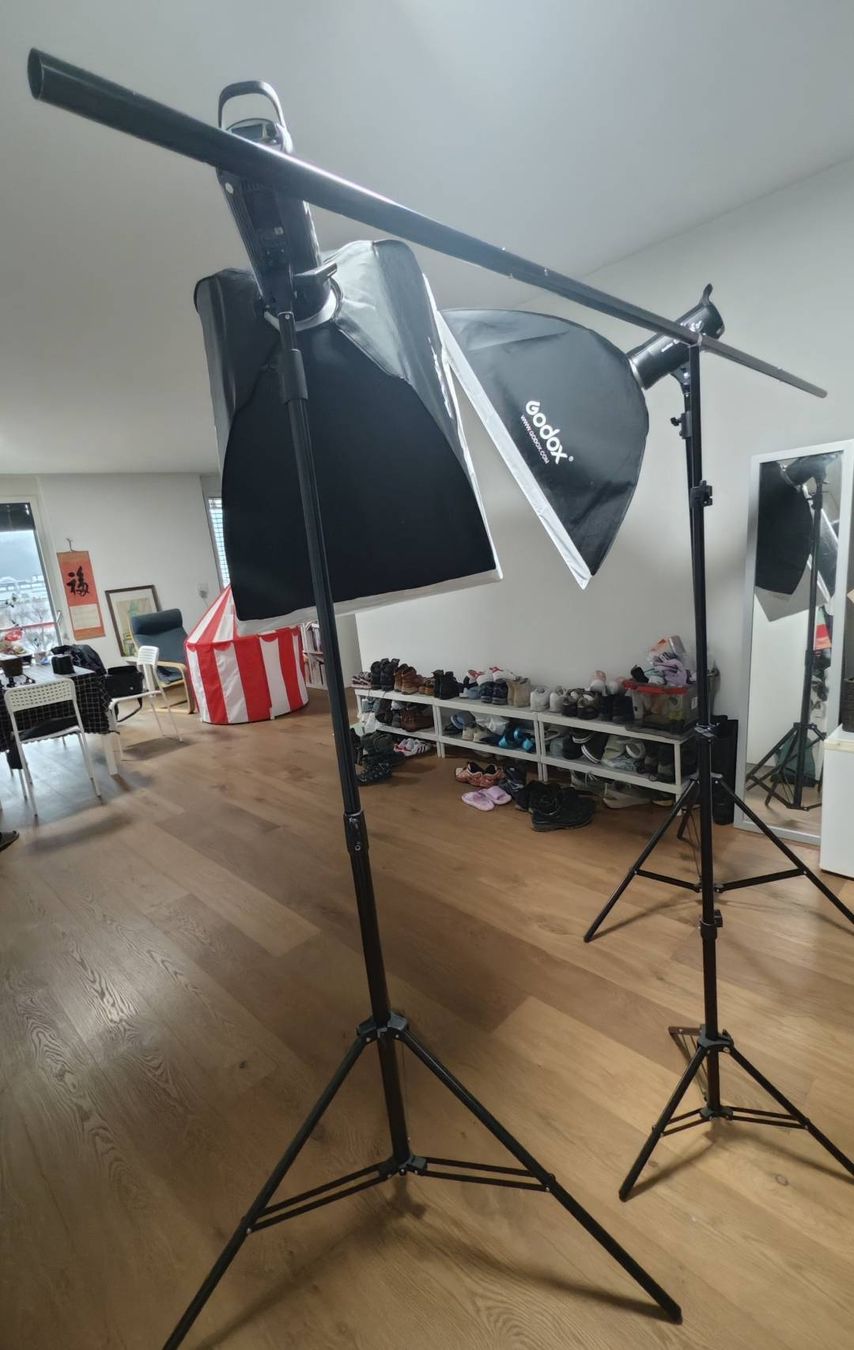 Laboratorio & Camera oscura: Heimfotoausrüstung, Studio Lighting Kit - 2 Softboxes & Stan – Usato da Dübendorf venduto da Jianbo_CN_CH_IT 1