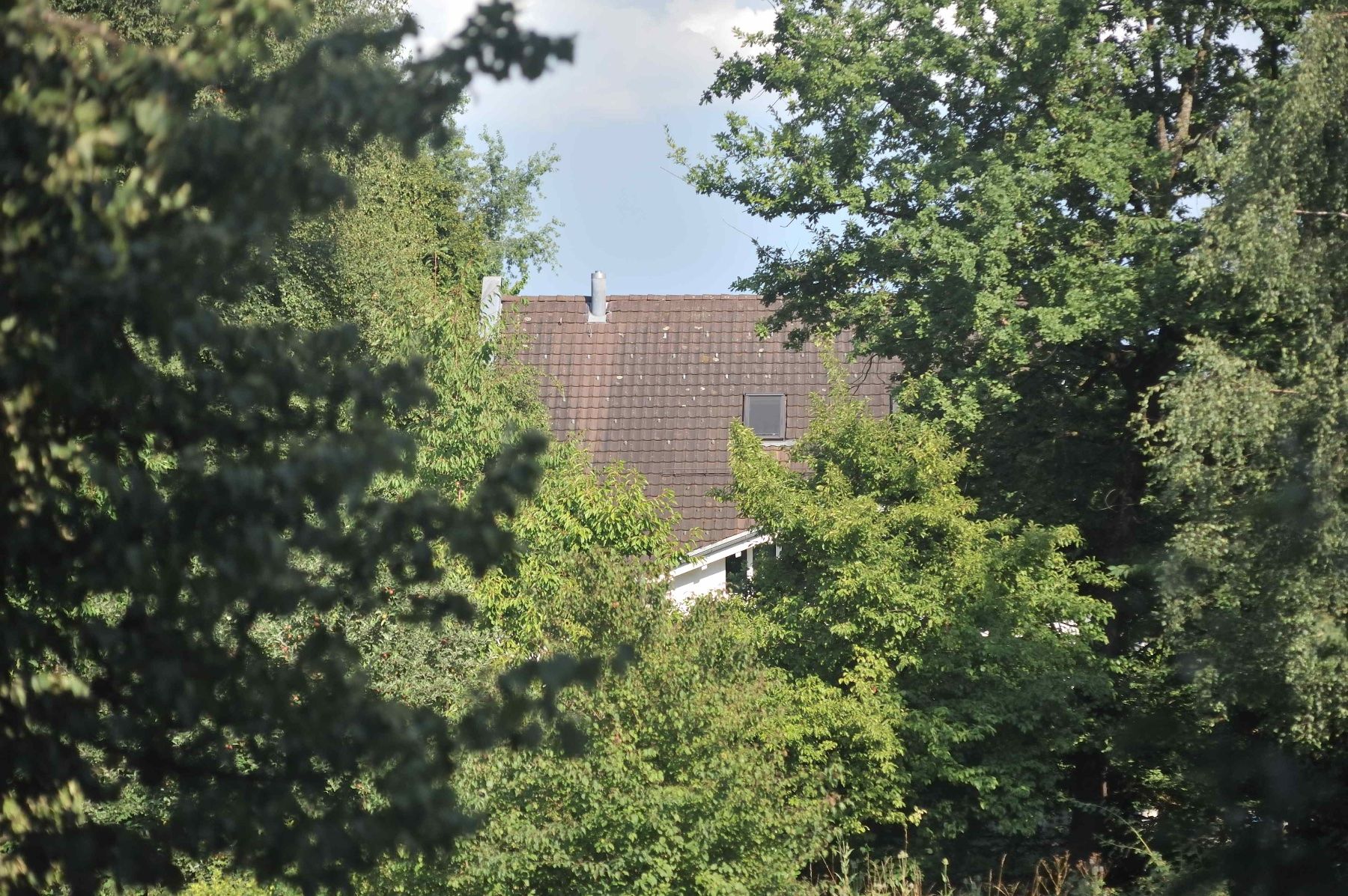 Nikkor Obiettivi: Nikkor AF 70-210 f4.0 - 5.6 – Usato da Schwerzenbach venduto da floridan 9