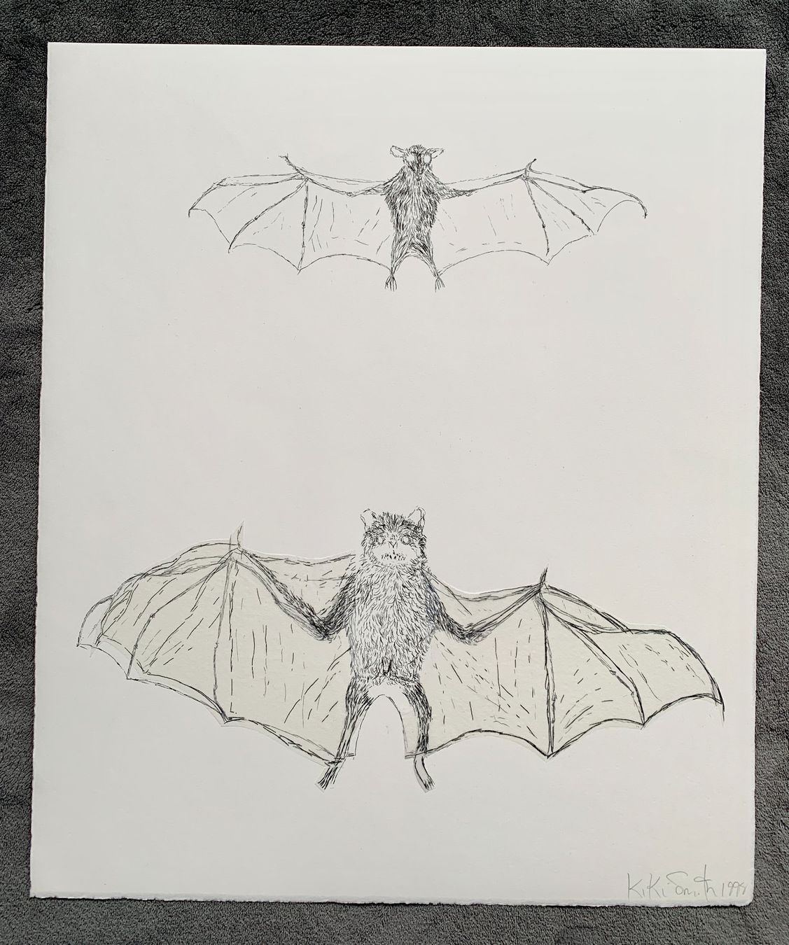 Grafiken & Lithographien: Kiki Smith - Lithographie Bat – Gebraucht aus Regensdorf von JoergR