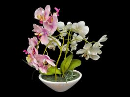 Kunstpflanze Orchidee