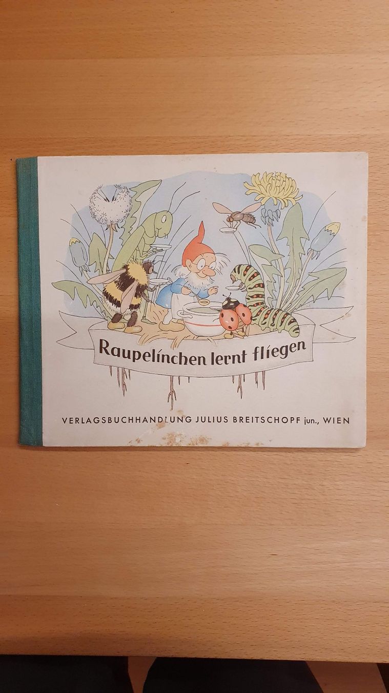 Libri: Raupelinchen lernt fliegen – Usato da Dietlikon venduto da Justus4
