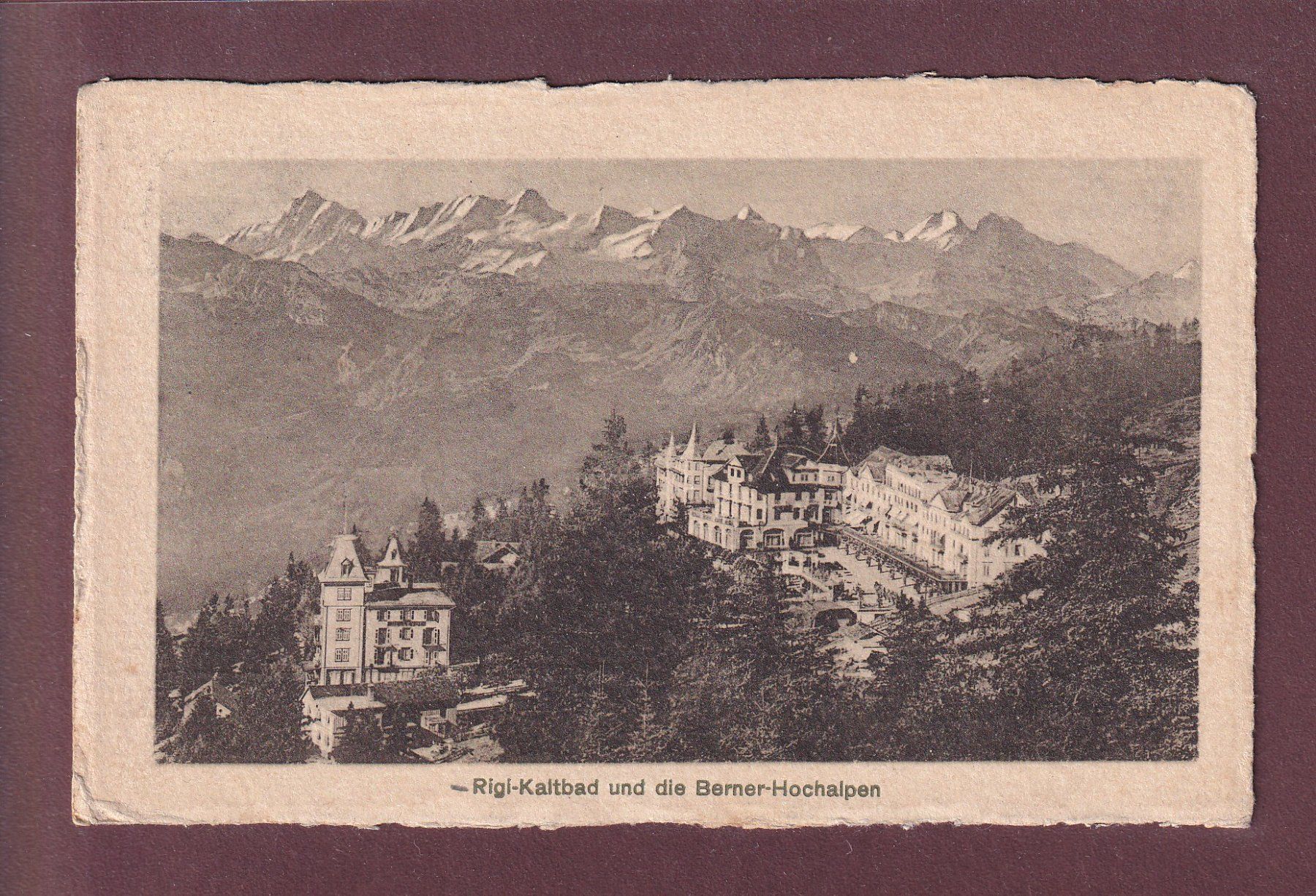 Ansichtskarten: RIGI-KALTBAD - Berneralpen - 1912 – Gebraucht aus Pully von nicecards