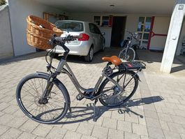 E-Bike Leopard mit Tiefeinstieg