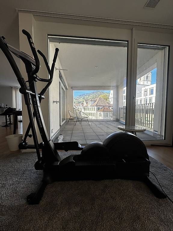Hometrainer: Crosstrainer/ Cardio Gerät/ Homecardio – Usato da Altstätten SG venduto da dean.pntlc