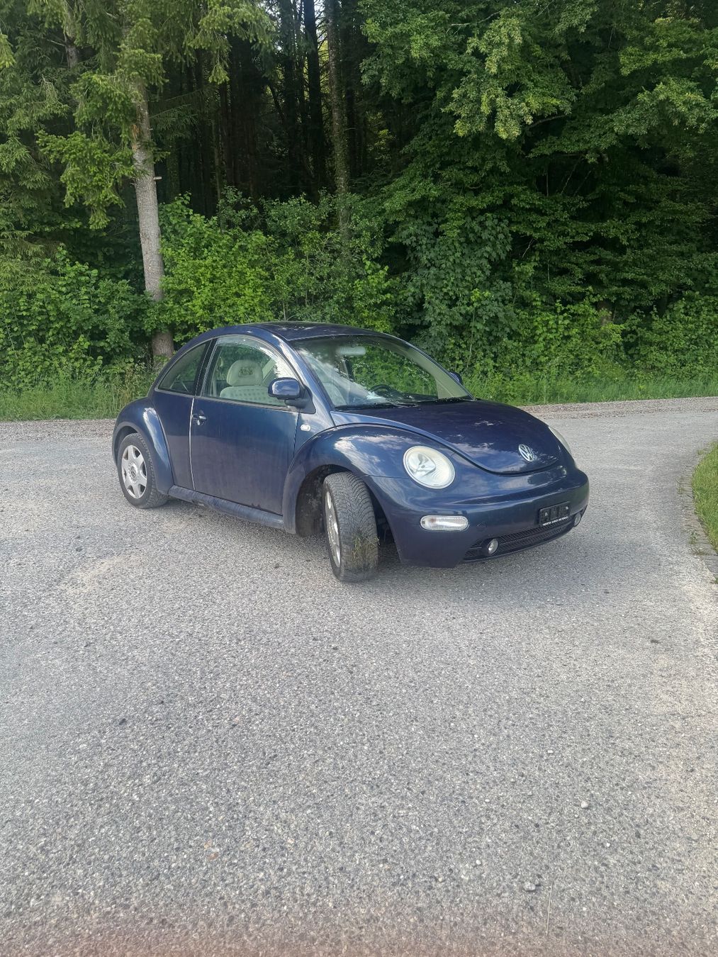 VW Automobili: VW Beetel 2.0 Automat – Usato da Glashütten venduto da Rambodiisli