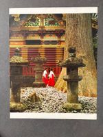 Original Vintage Poster - Toshogu Schrein Nikko