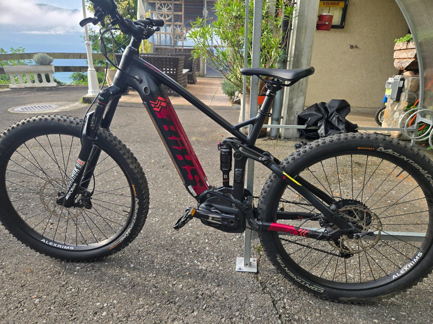 Bixs Velos: BiXS Sauvage e25 E-Mountainbike – Gebraucht aus Gersau von marta.kurstak 7