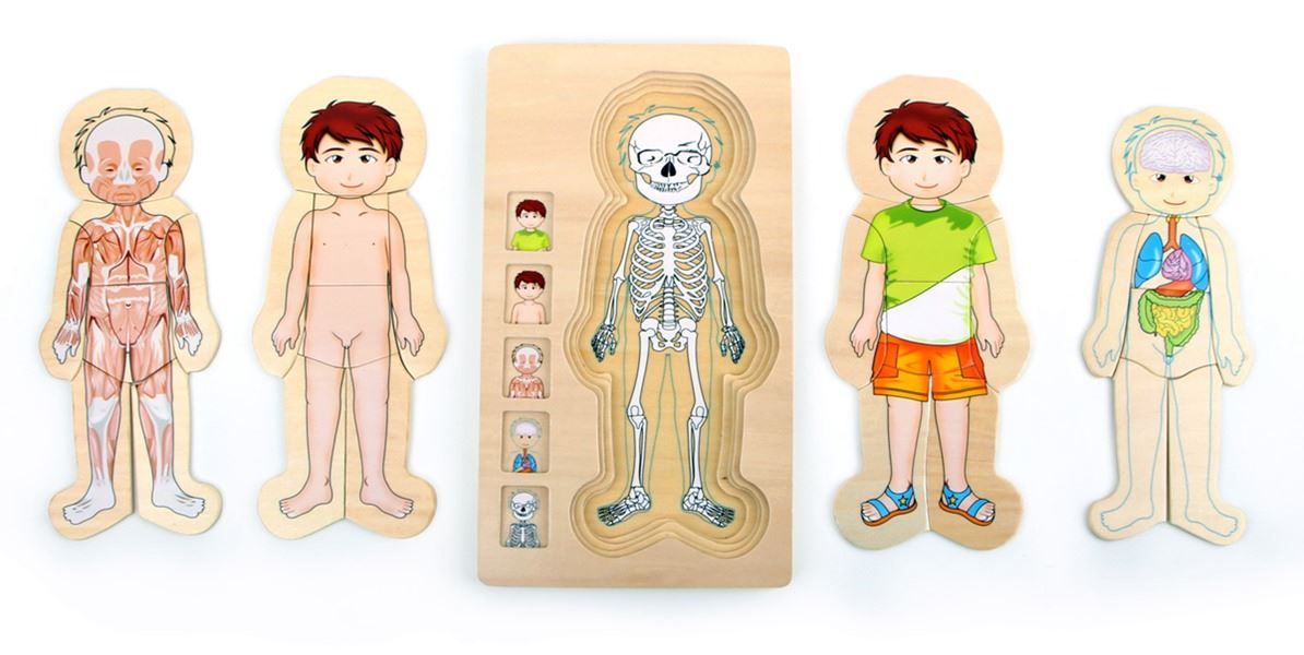Puzzle: Holz- Steckpuzzle Anatomie Junge Tim – Nuovo e nell'imballaggio originale da Wettingen venduto da Swala 1