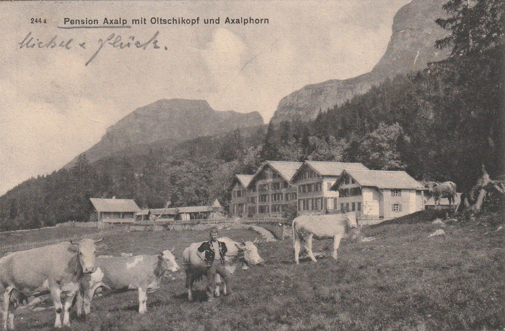 Cartoline postali: Axalp Pension belebt – Usato da Rorschacherberg venduto da fratovi2