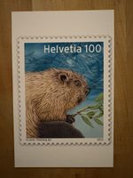 AK von Tiermotiv Briefmarke / Flavia Travaglini