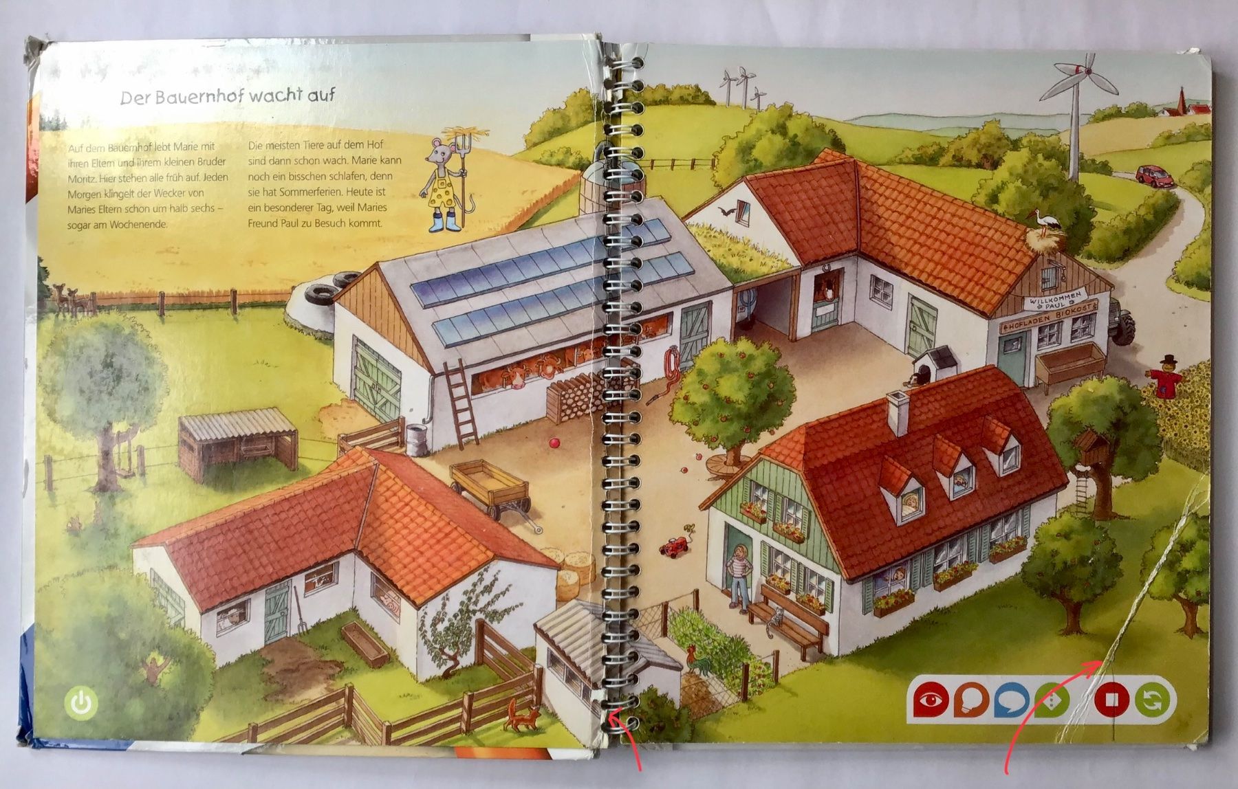 Libri: tiptoi - Buch: Entdecke den Bauernhof – Usato da Bubendorf venduto da Alpenheidi 2
