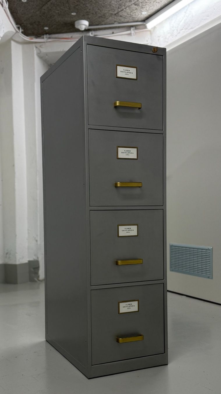 Armadi: Aktenschrank, Schubladenstock, Silber – Usato da St. Gallen venduto da Studio_Industrial 5