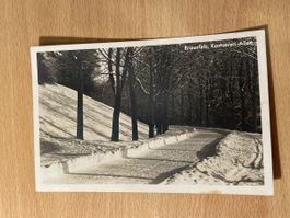 Alte Ansichtskarte Braunfels, Kastanien-Allee, Winter!