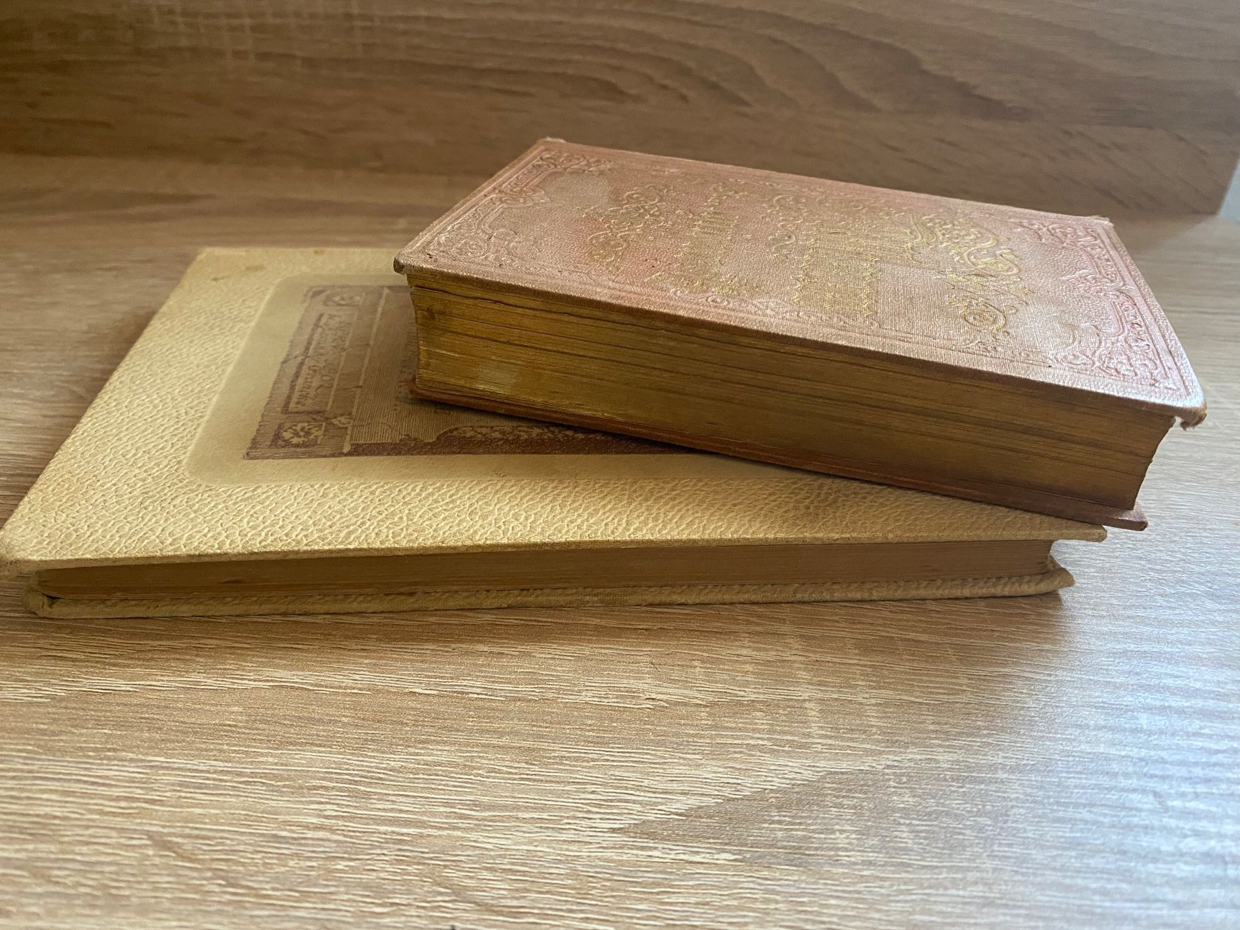 Libri: 2 Bücher antik 1853 - 1904 – Usato da Bösingen venduto da Trigusik 7