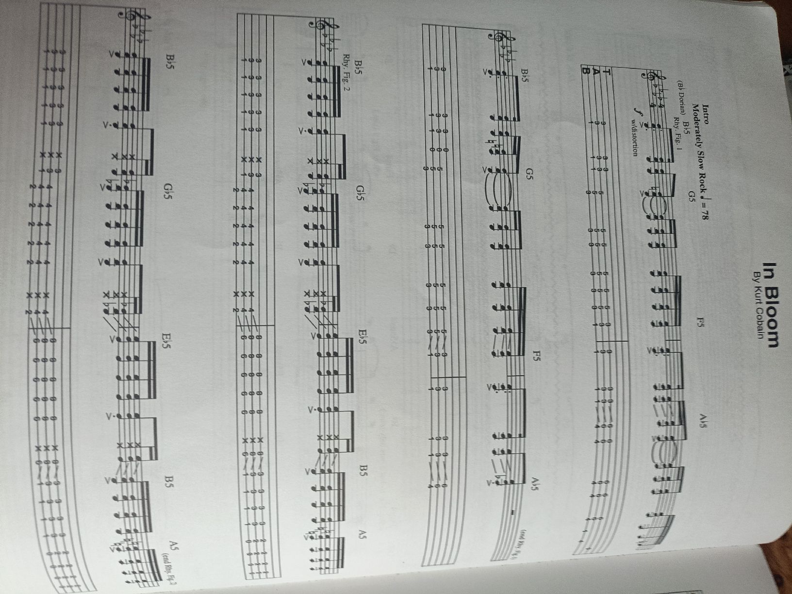 Libri: Nirvana Nevermind Gitarren Notenbuch gute Zustand – Usato da Sargans venduto da Polifemo58 4
