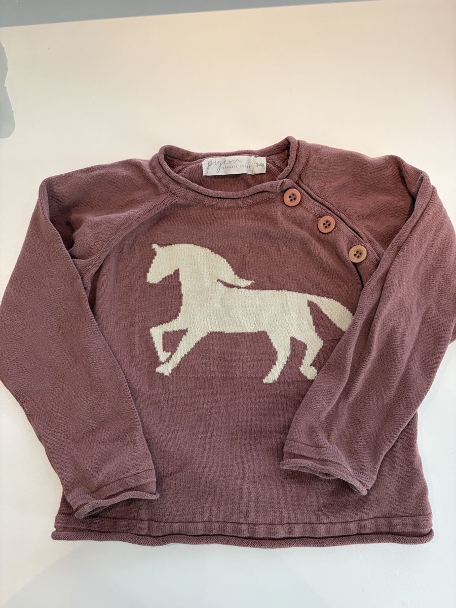 Maglioni & Felpe: Süsser Mädchen Pullover mit Pferd, Grösse 86 – Usato da Pratteln venduto da Daily88