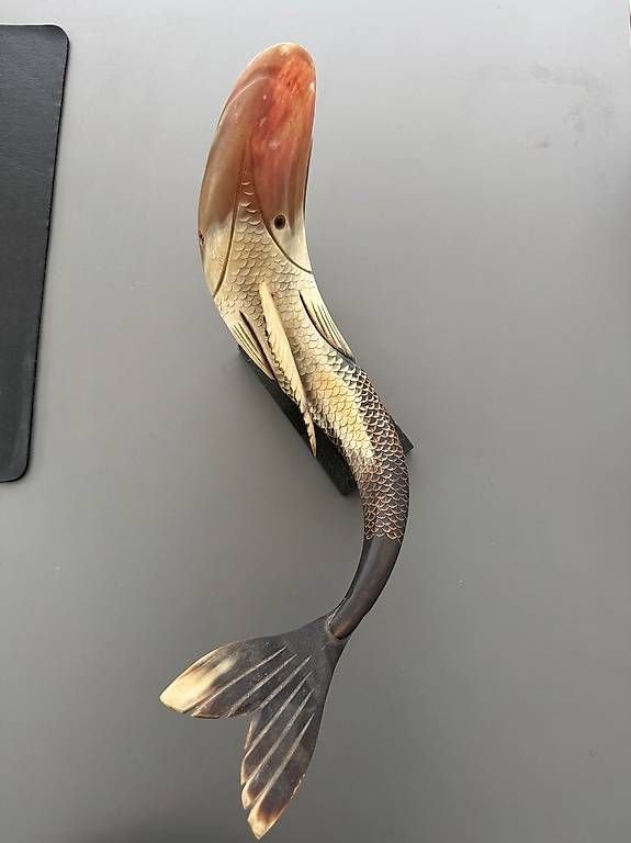 Sculture & Statue: Scultura in Corno-  Pesce – Usato da Massagno venduto da whi_d5bd 1
