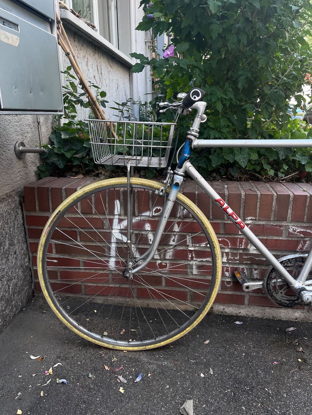 Velos: ALPA Renner Velo mit Korb – Gebraucht aus Zürich von Jona.B 3