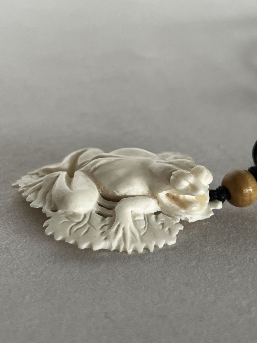 Catenine: Hand-Carved Bone Frog Pendant Necklace Frosch Knochen – Nuovo (secondo la descrizione) da Moehlin venduto da Balirain 1
