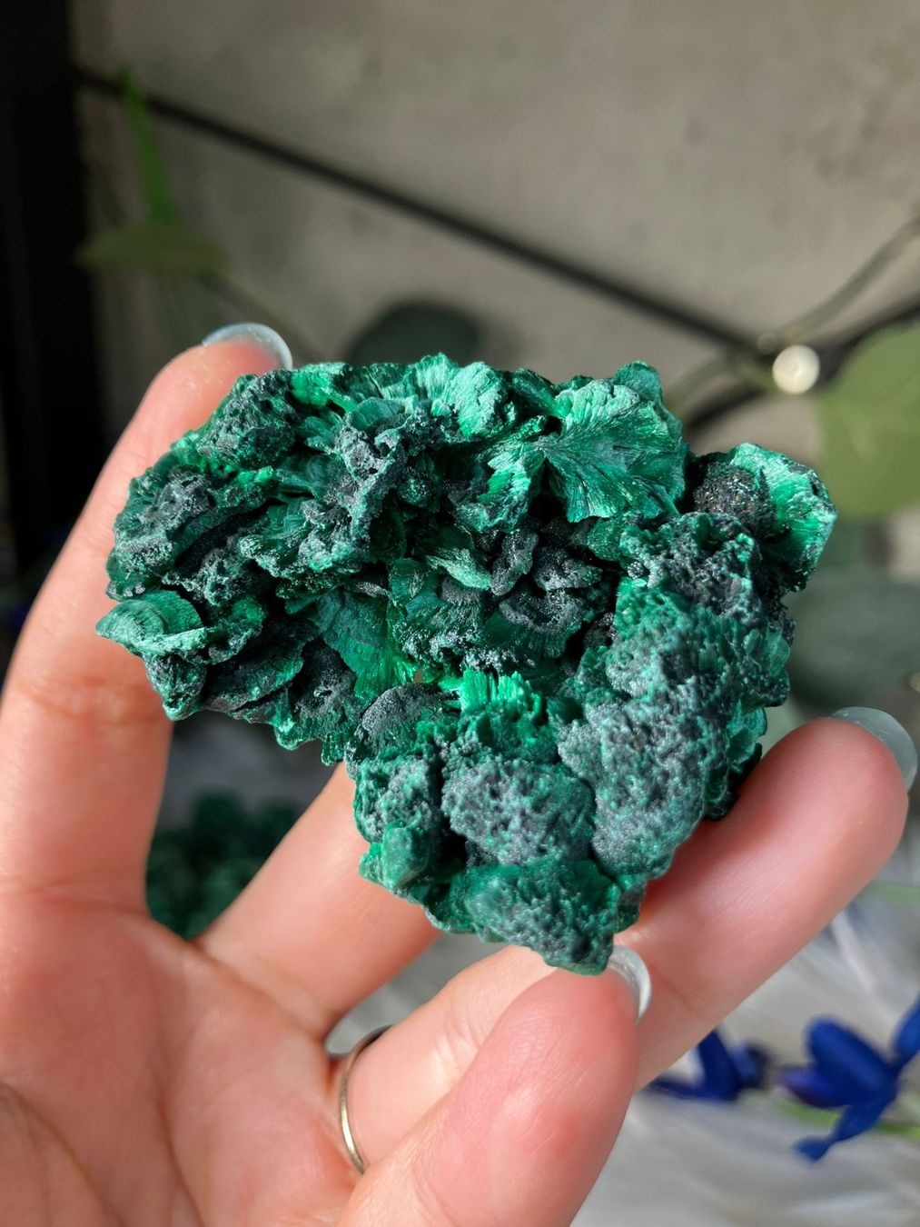 Minerali & Pietre curative: Malachit – Nuovo (secondo la descrizione) da Neuheim venduto da m.hald 1