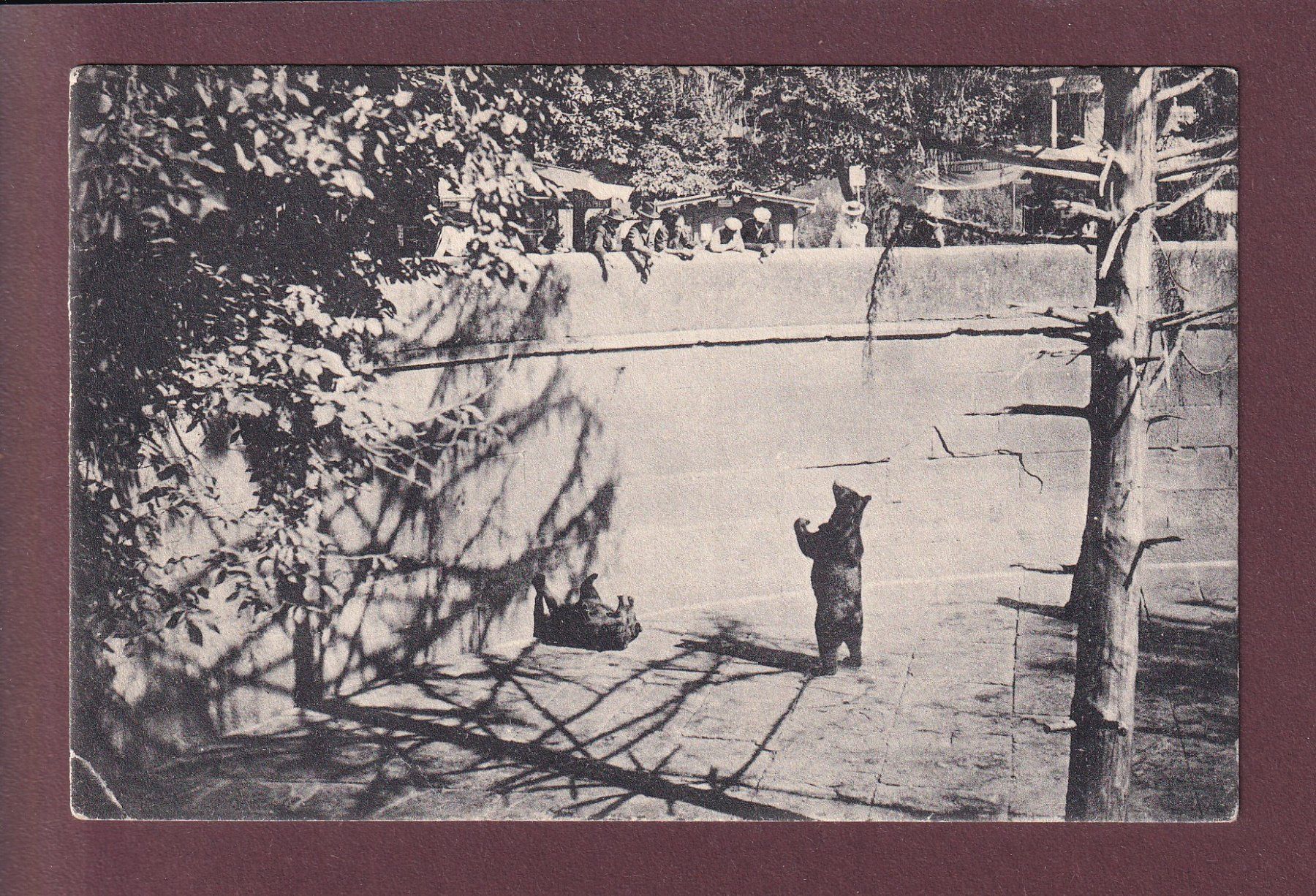 Cartoline postali: BERN - Bärengraben - 1912 // Eckbug // – Usato da Pully venduto da nicecards