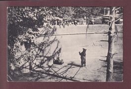 BERN - Bärengraben - 1912 // Eckbug //