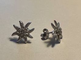 Edelweiss Ohrstecker