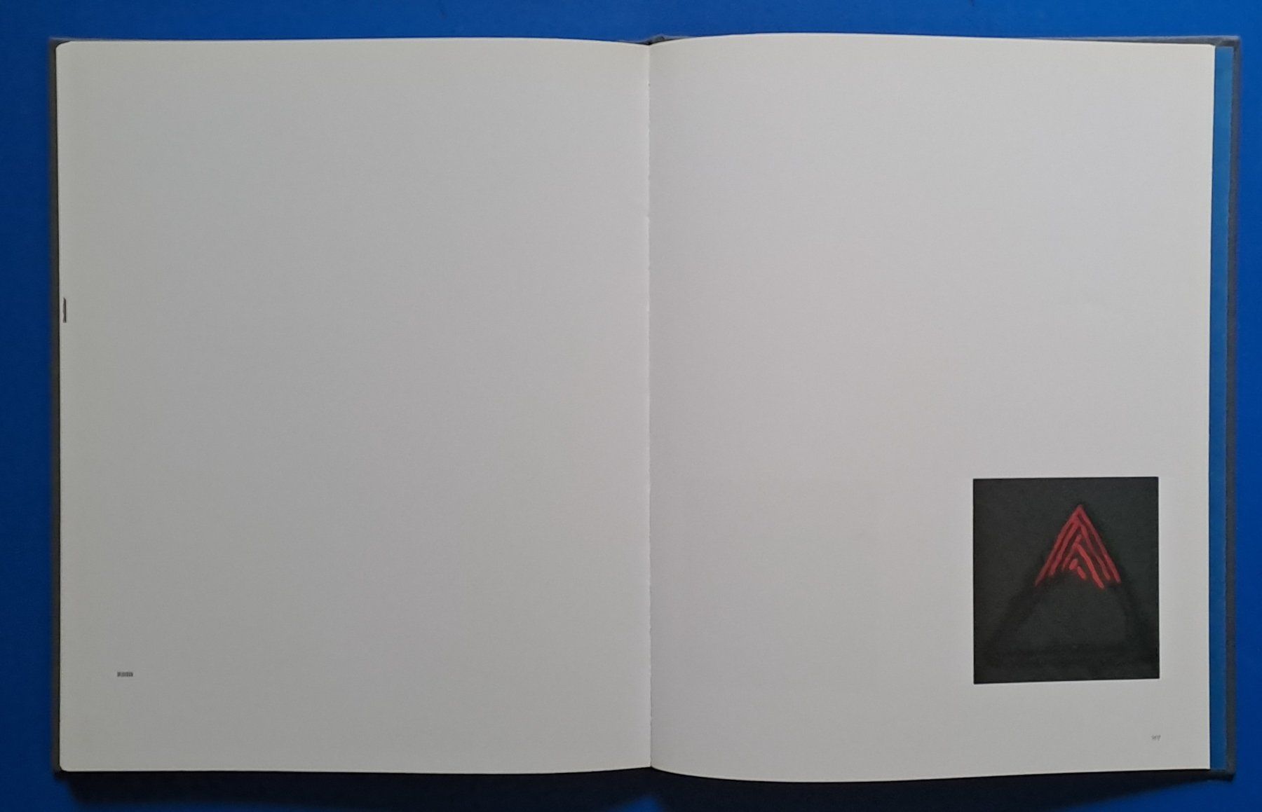 Libri: Hans Danuser: DELTA. EA 1996. Top erhalten – Usato da Zürich venduto da archiphil 8