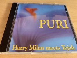 Harry Milan Meets Tejah – Puri
