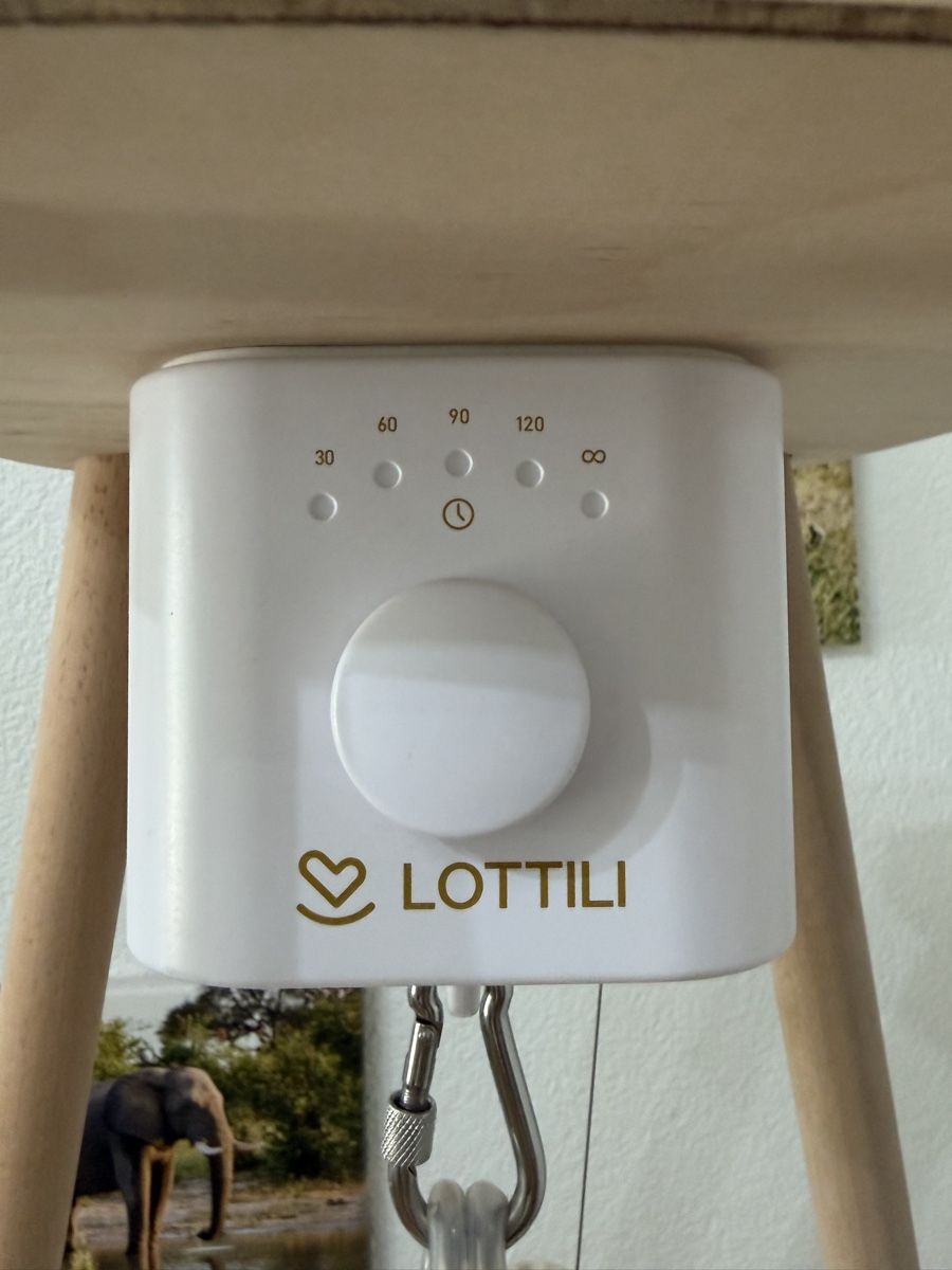 Sdraiette & Sdraiette a dondolo: Lottili Federwiege mit Gestell und Motor – Usato da Pieterlen venduto da SAR96 4