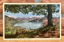 WEGGIS GEGEN DIE ALPEN - Vierwaldstättersee