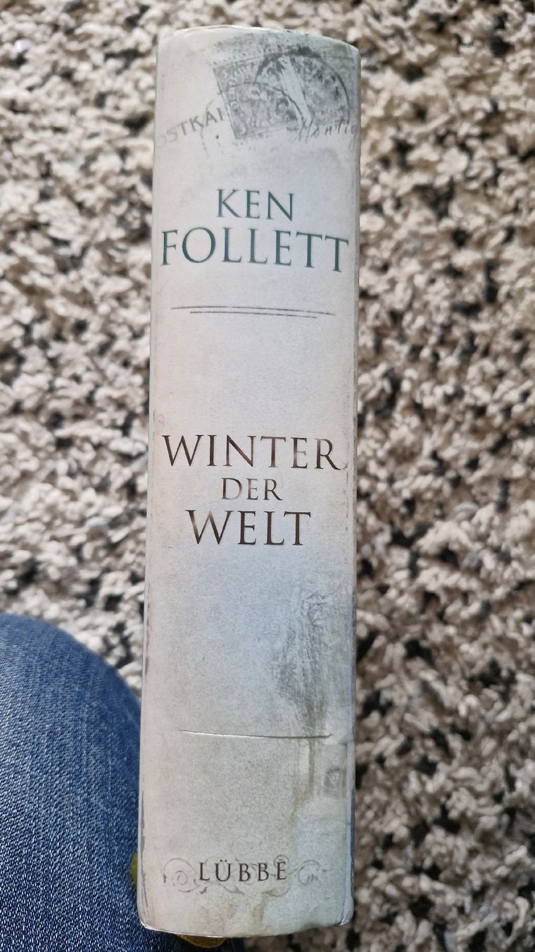 Libri: Ken Follet "Winter der Welt" – Usato da Basel venduto da Andrealin 3