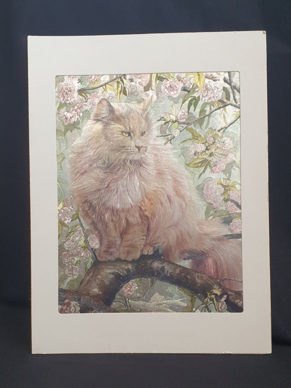 Posters & Illustrations: Metallic Effekt Bild Katze auf Ast mit Kirschblüten – D'occasion à Alterswil FR par Maylea01