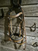 Zaumzeug Cob Cognac inkl Zügel