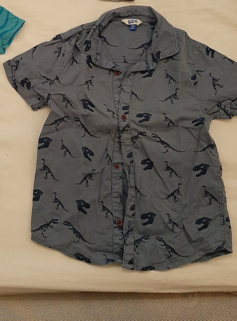 Camicie, T-shirt & Polo: Neues Dinosaurier Hemd 116 – Nuovo (secondo la descrizione) da Wohlen AG venduto da Fabe3