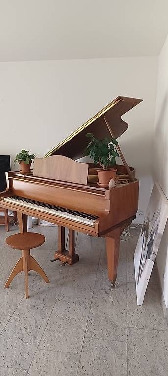 Strumenti musicali: Flügel(klein) – Usato da Biel-Benken BL venduto da Live010