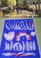 Flamingo-Federn 50 Stk. rosa + weiss-flauschige; bis 30cm