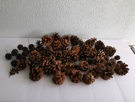 Deko Zapfen, grosse Menge, Naturmaterial für die Bastelzeit!